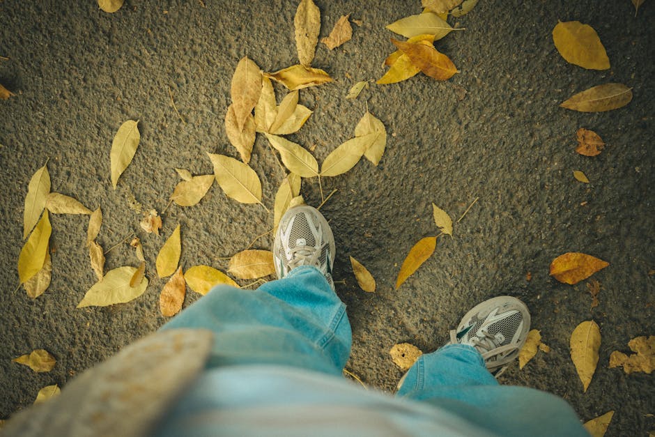 Casual autumn walk with falling leaves and sneakers on pavement.
